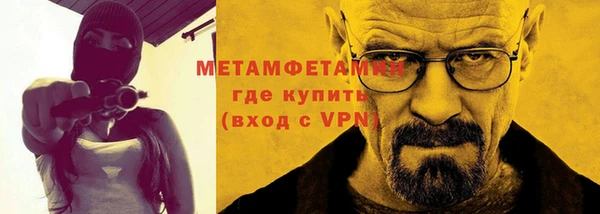 прущие грибы Белокуриха