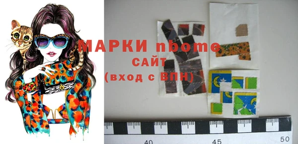 прущие грибы Белокуриха
