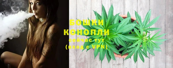 прущие грибы Белокуриха